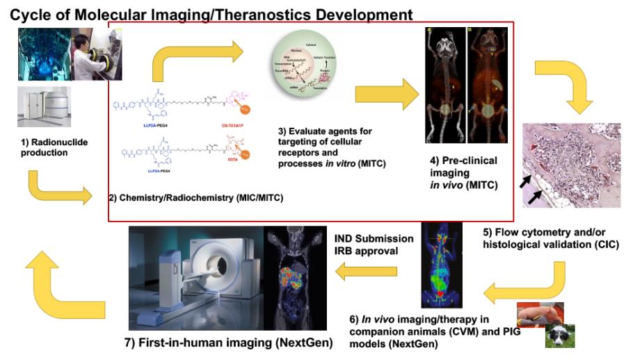 Overview of Molecular Imaging 