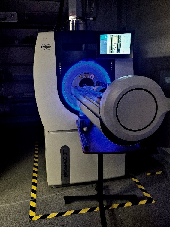 Bruker BioSpec 3T MRI